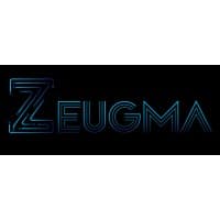 Zeugma Management & Consulting logo