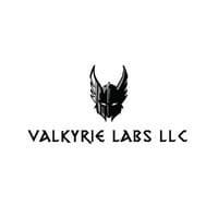 Valkyrie Labs LLC logo