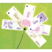 Complementary Currency Consulting logo