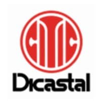 CITIC Dicastal logo