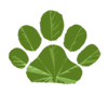 Stoner Cats logo