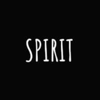 TheSpiritNFT logo