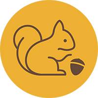 Nutbox DeFi