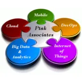Ptak Associates logo