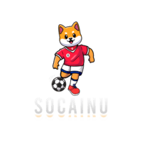 socainu.club logo