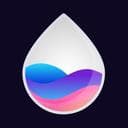 Ink Protocol