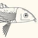 Generative Fish logo