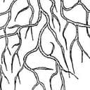 Distribute.network logo