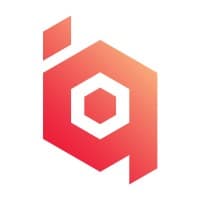 Intelliquity Consulting Services logo