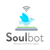 Soulbot Automation Agency logo