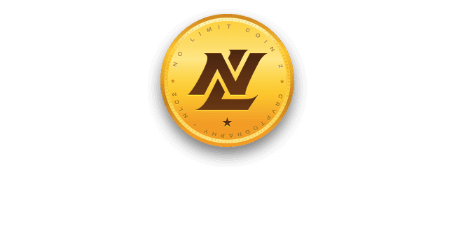 No Limit Technology Holdings, Inc - logo