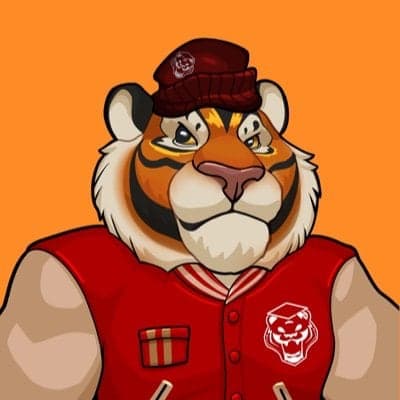 NEAR Tiger Academy logo