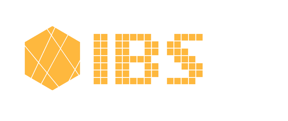 IBS Tech logo