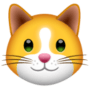 Kitten.Finance logo