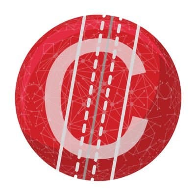 Cricket Foundation logo