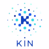 Kin Foundatio