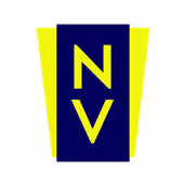 Nelstone Ventures logo