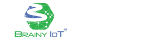 Brainy IOT logo