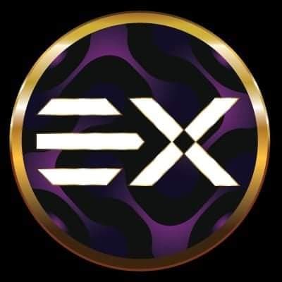 EnkiX Token logo