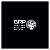BRPartners logo