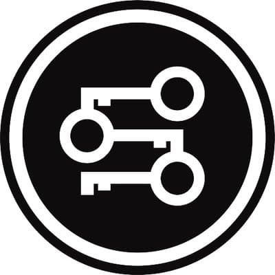 Token Security Scheme logo