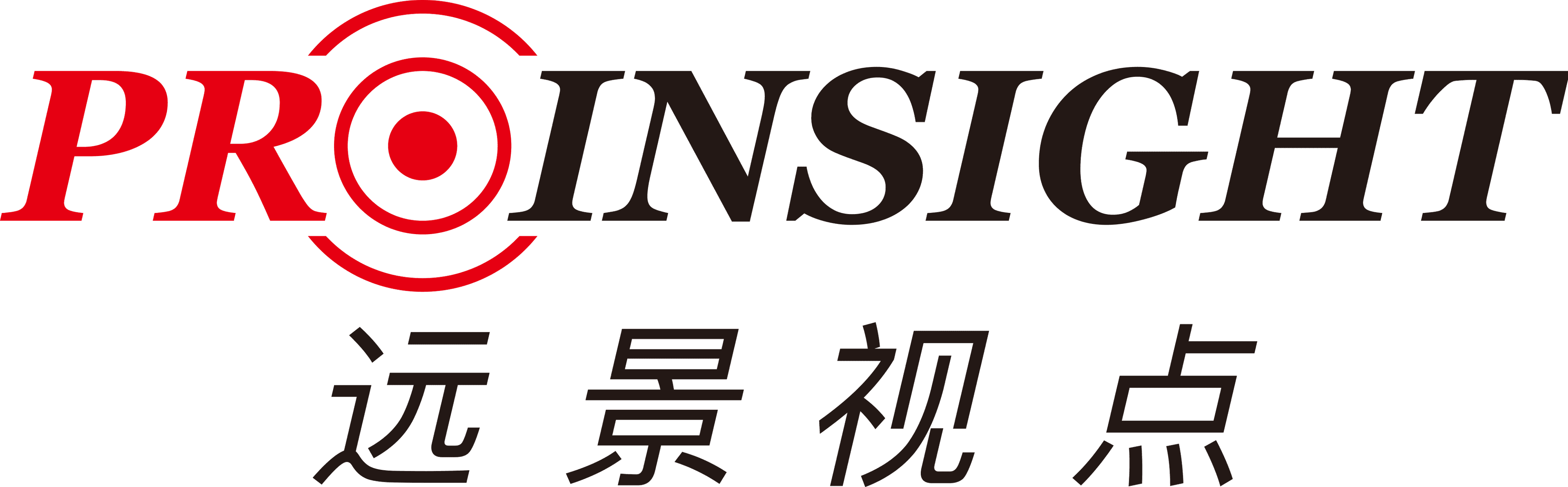 Pro Insigh logo