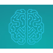 SystemBit Team OU logo