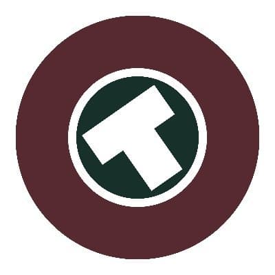 TomTomCoin logo