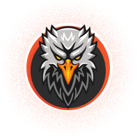 Falconsinu logo