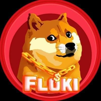 Floki Musk logo