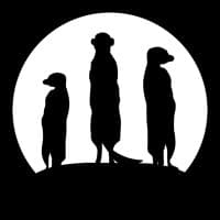 Meerkatly Software House logo