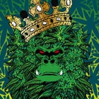 Non-Fungible TOKE logo