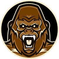 GorillaNodes logo