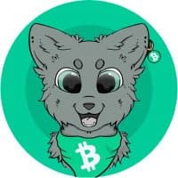 CashCats