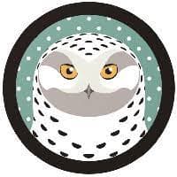 SnowyOwl X ArcticFox logo