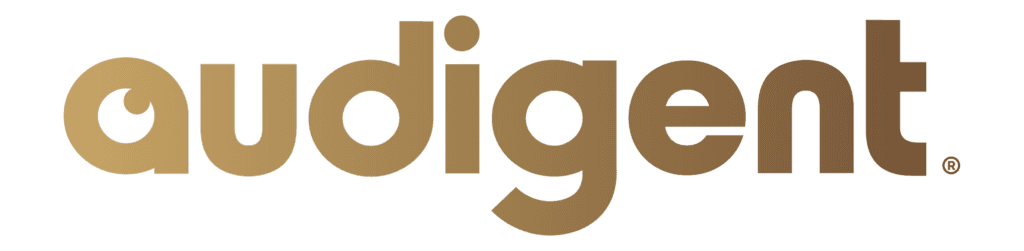 Audigent logo
