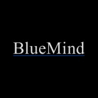Blue Mind Capital logo