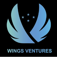 Wings Ventures logo
