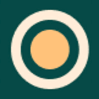 FinSight Ventures logo