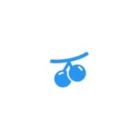 Berrywood Capital logo