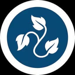 Blue Ivy Ventures logo