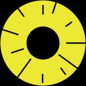 Pineapple.World logo