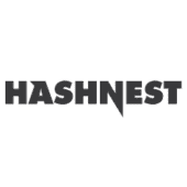 HashNes logo