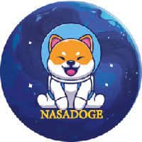Nasa Doge logo