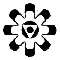 Project Metavision logo