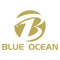 Blue Ocean Capital Group logo
