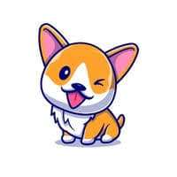 MiniDOGE logo