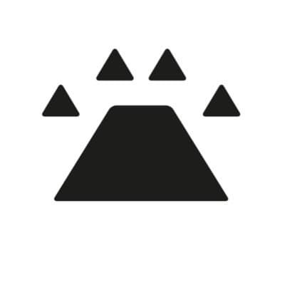 Ingonyama logo