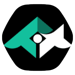 Followin Việt Nam logo