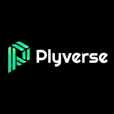 Plyverse logo